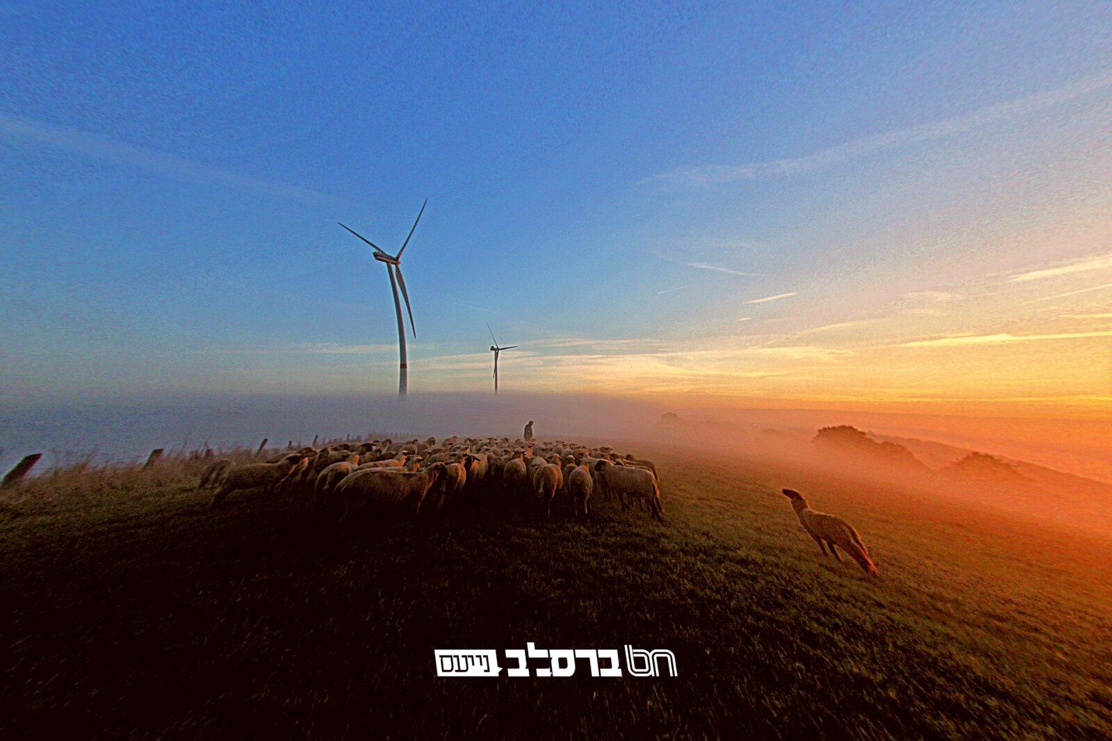 'סיפורי מעשיות': מעשה ד' 'מִמֶּלֶךְ שֶׁגָּזַר שְׁמָד' #04|♫