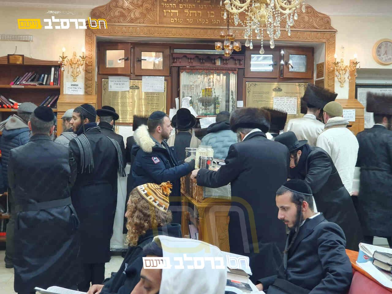 אומן • כשלושת אלפי איש עלו לקיבוץ 'שבת חנוכה' |גלריה