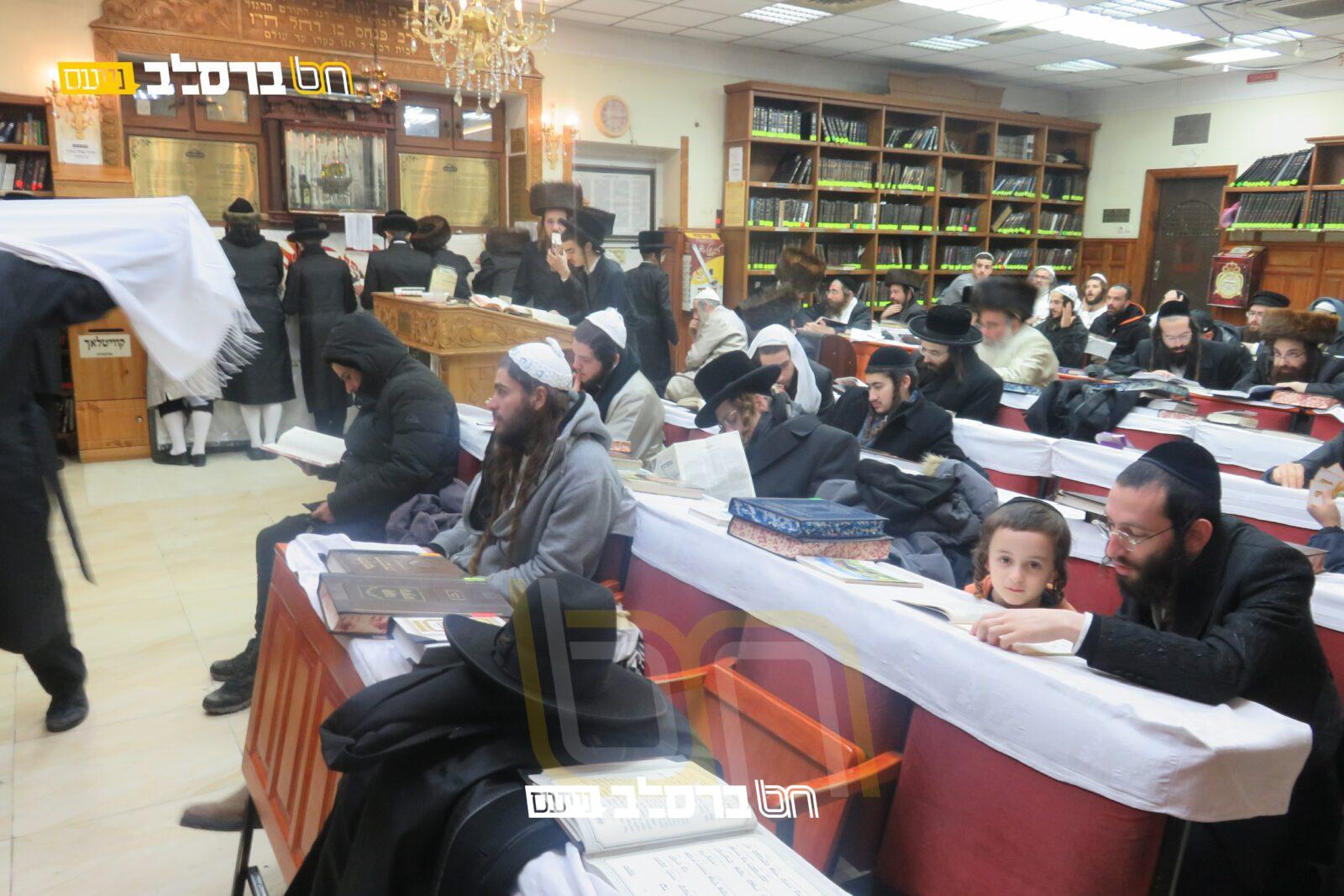 אומן • מאות עלו לשבת שאחר חנוכה |גלריה