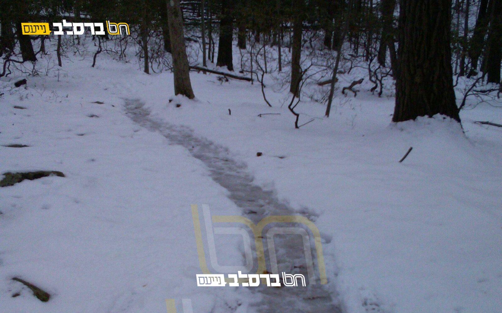 מאנסי • השלג חשף מתבודדים