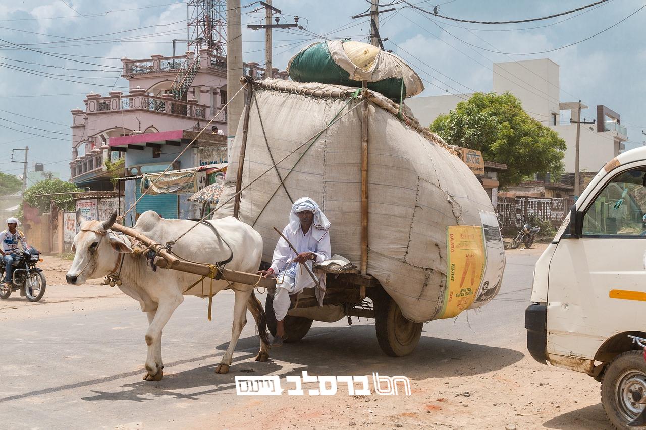'סיפורי מעשיות': מעשה י' 'מִבֶּערְגִיר וְעָנִי' #10|♫