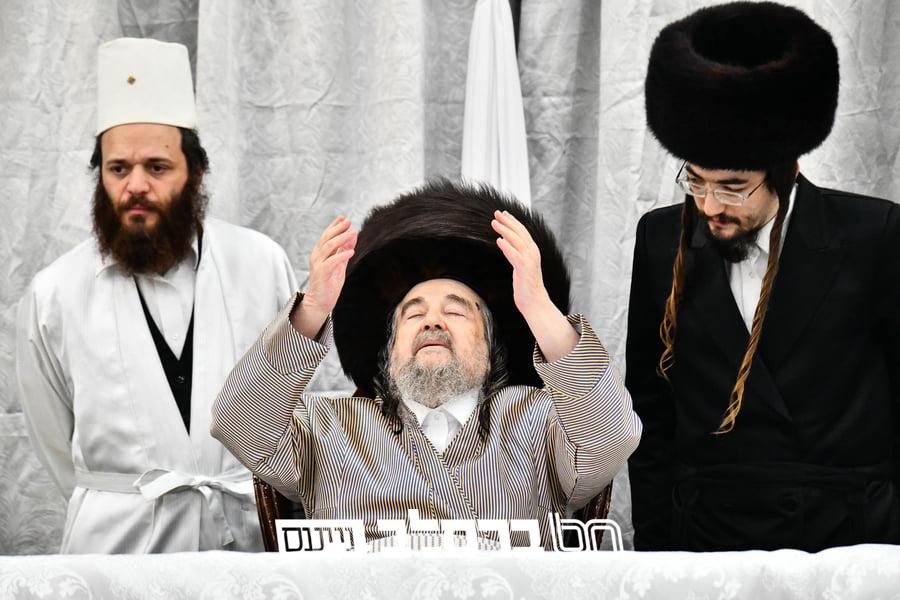 מָחֹה תִּמְחֶה אֶת זֵכֶר • משתה היין בראשות הגרי"מ שכטער |◄