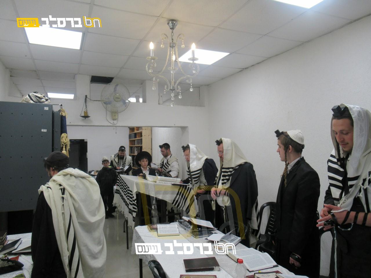 וְזִכְרָם לֹא־יָסוּף • מקרא מגילה בקהילת ברסלב טבריה