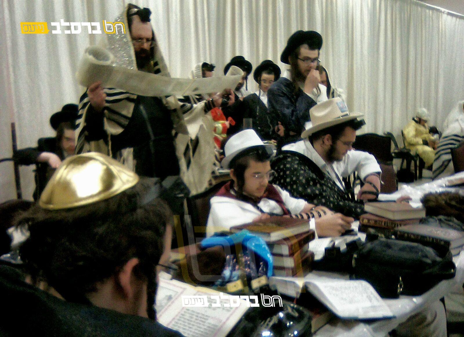 פוּרִים עַל־שֵׁם הַפּוּר • שמחת פורים ב'ברכת הנחל' מאנסי