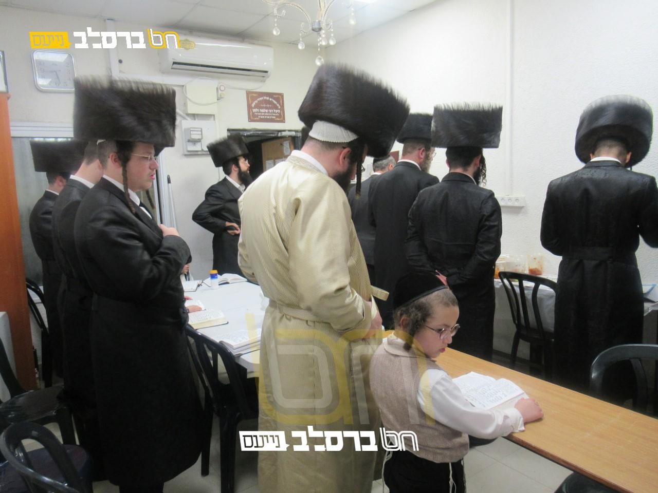 טבריה • היענות חסרת תקדים בקרב אנ"ש לרכישת דירות