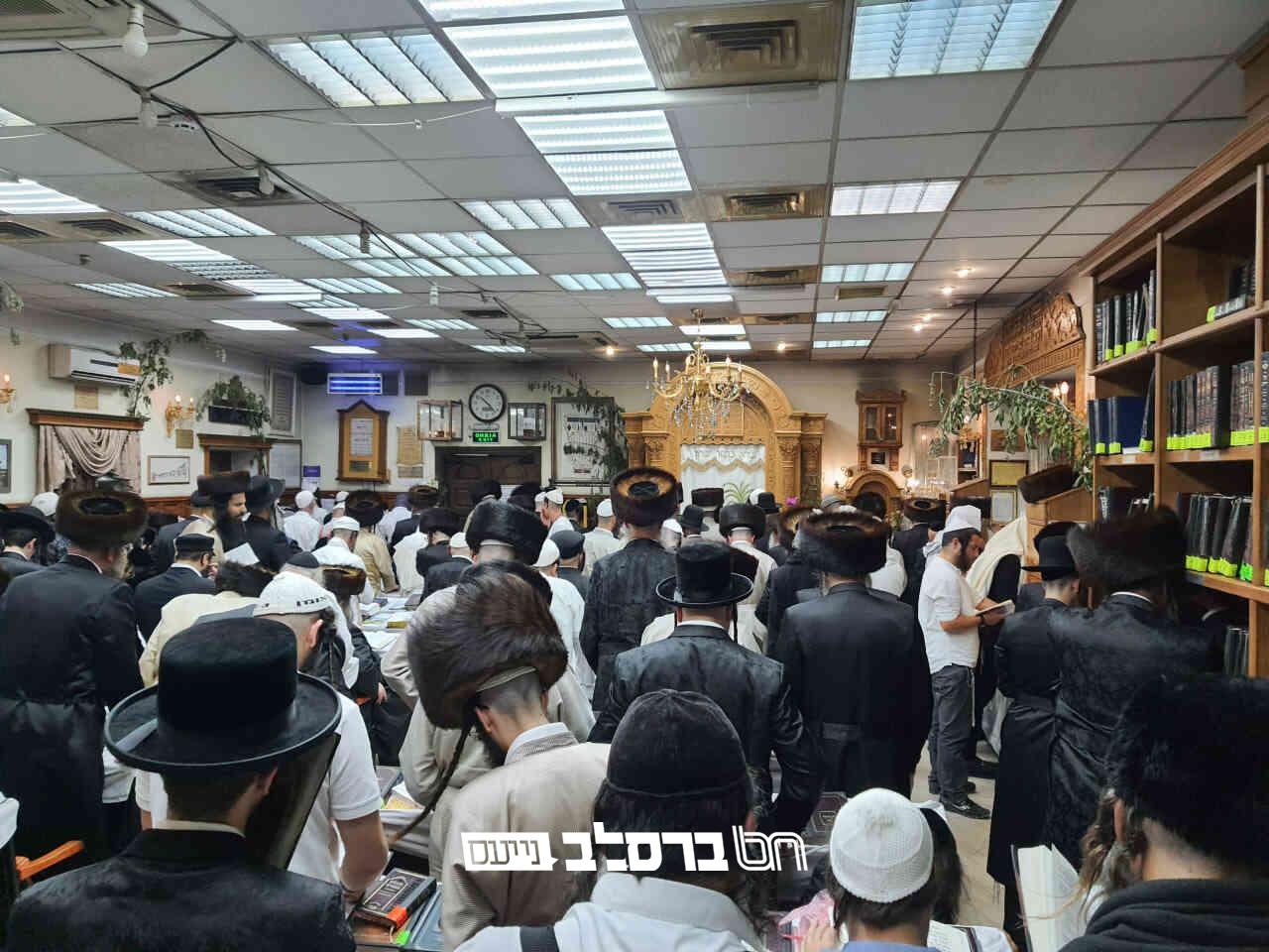 אומן • למעלה מ-3000 איש בקיבוץ חג השבועות באומן |◄