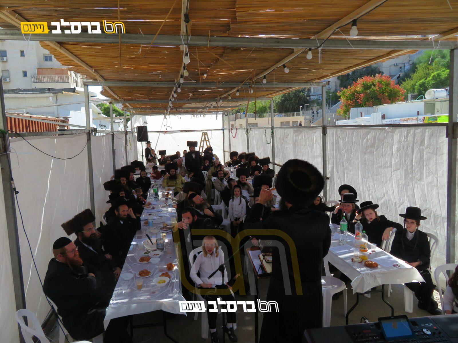 בית שמש • חג הסוכות ב'תמימי דרך'