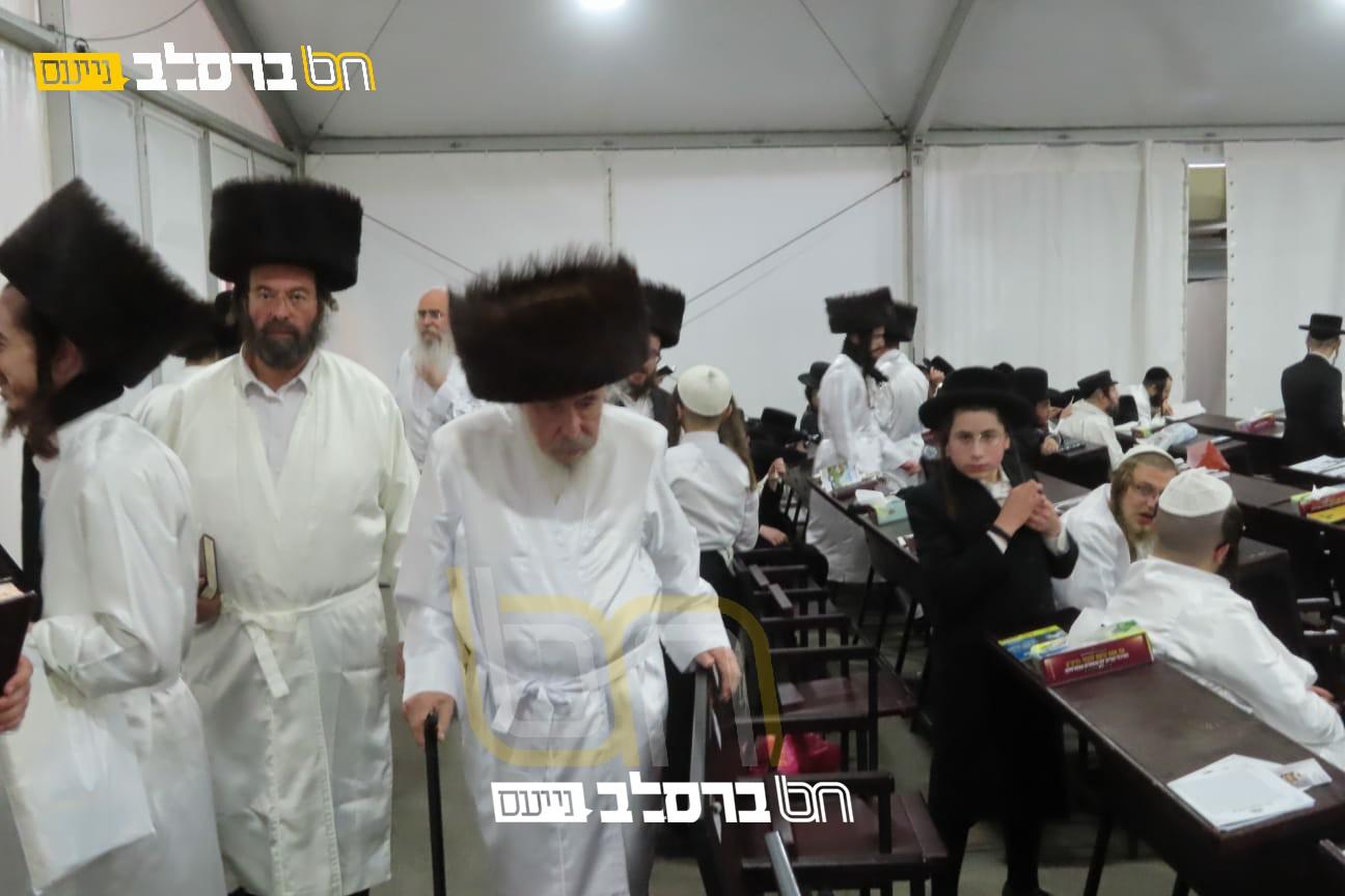קיבוץ תשפ"ה • הקלויז בקוליקה בראשות הרבנים גדולי אנ"ש