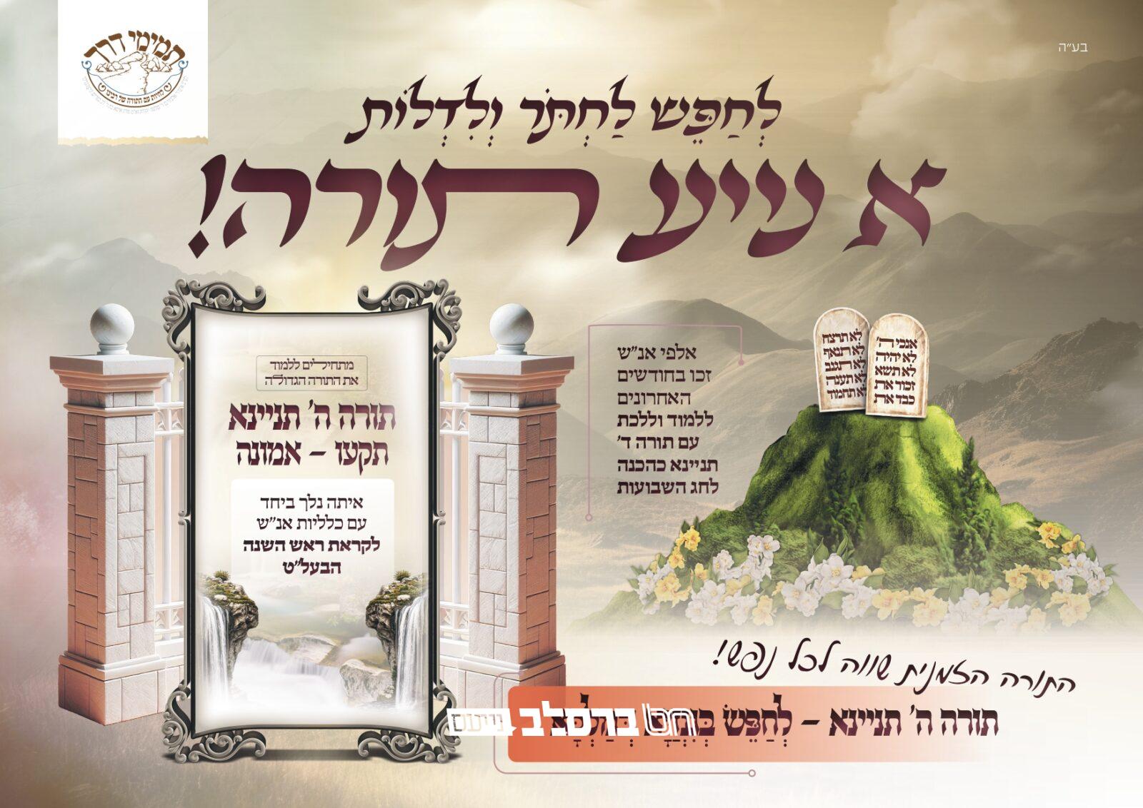 תמימי דרך • השבוע התחילו את תורה ה' תניינא 'תִּקְעוּ אֱמוּנָה'