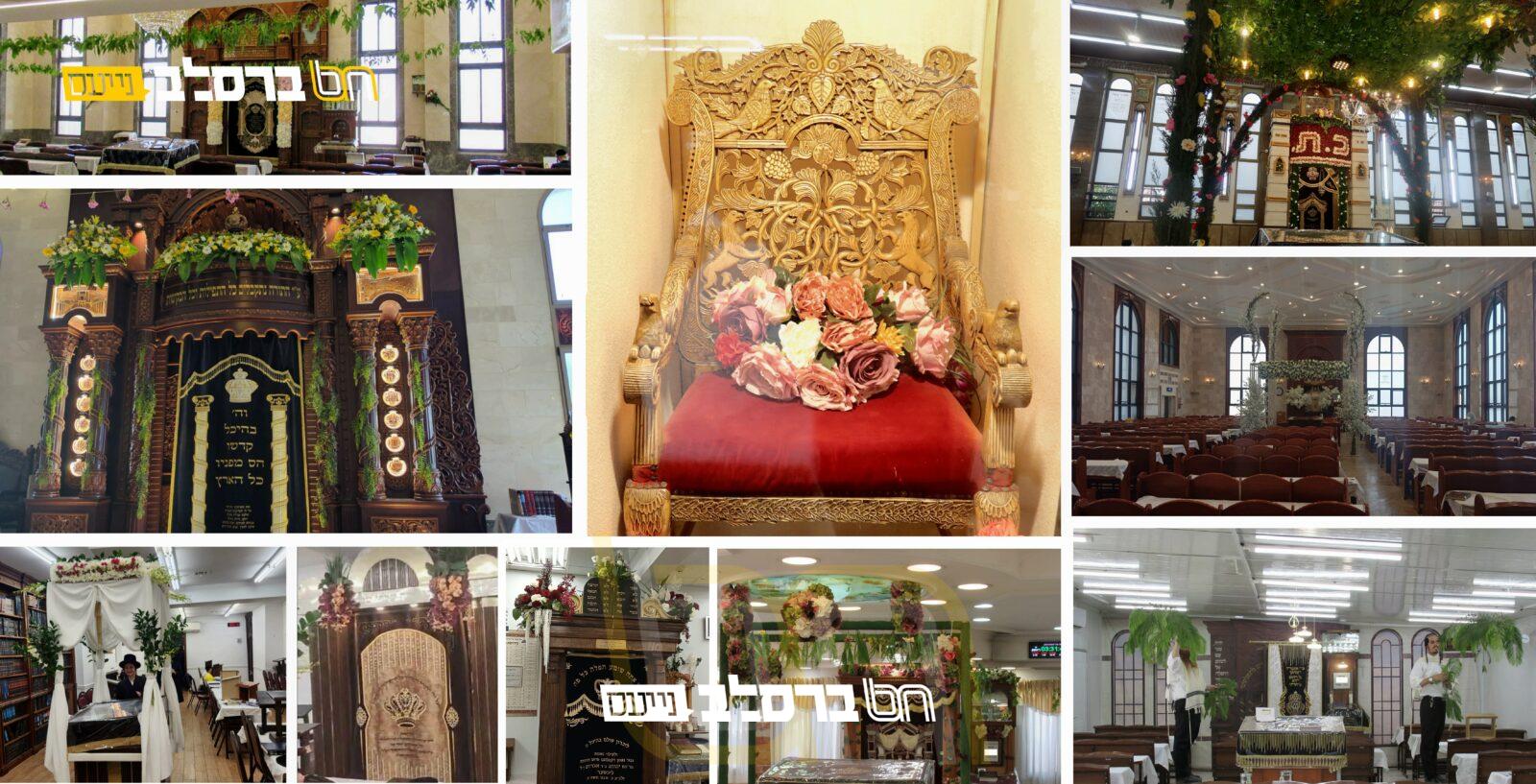 צִצִּים וּפְרָחִים • בתי הכנסיות של אנ"ש בניחוח הר סיני | מתעדכן