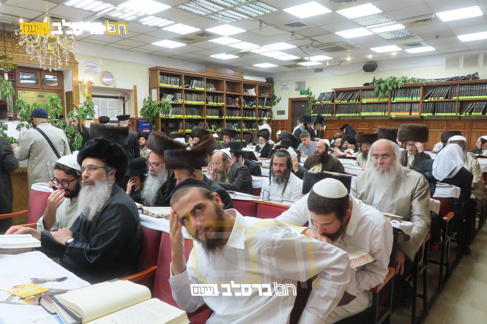 בעין העדשה: קיבוץ חג השבועות עם למעלה מ-3000 איש |◄