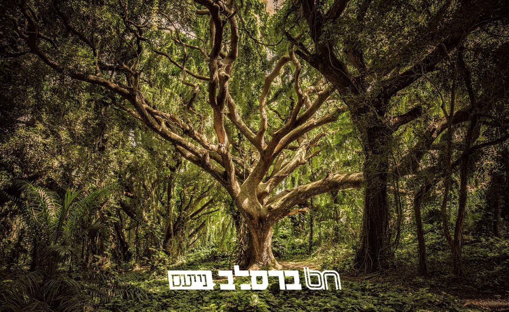 אבקשה • גליון לחודש תמוז תשפ"ה |↓