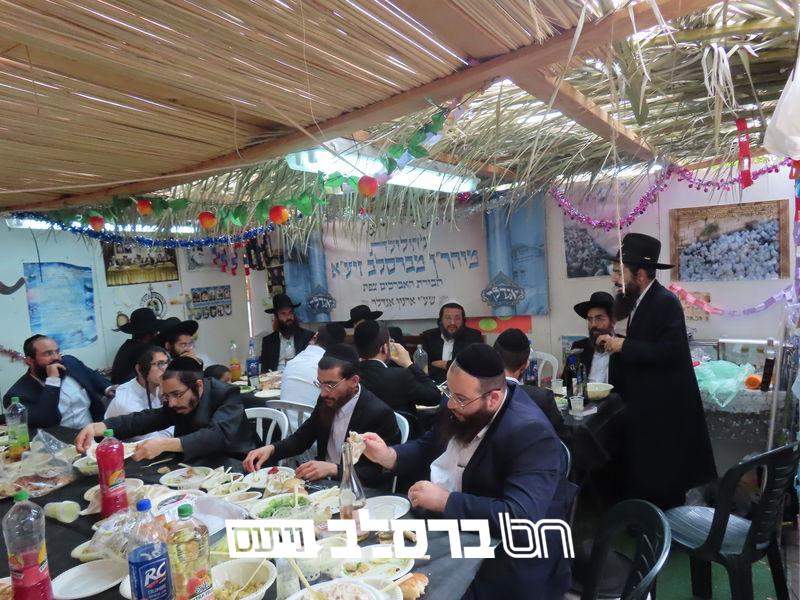 צפת • סעודת הילולא לכבוד רבינו הקדוש ע"י ארגון 'אגדלך' | ♪