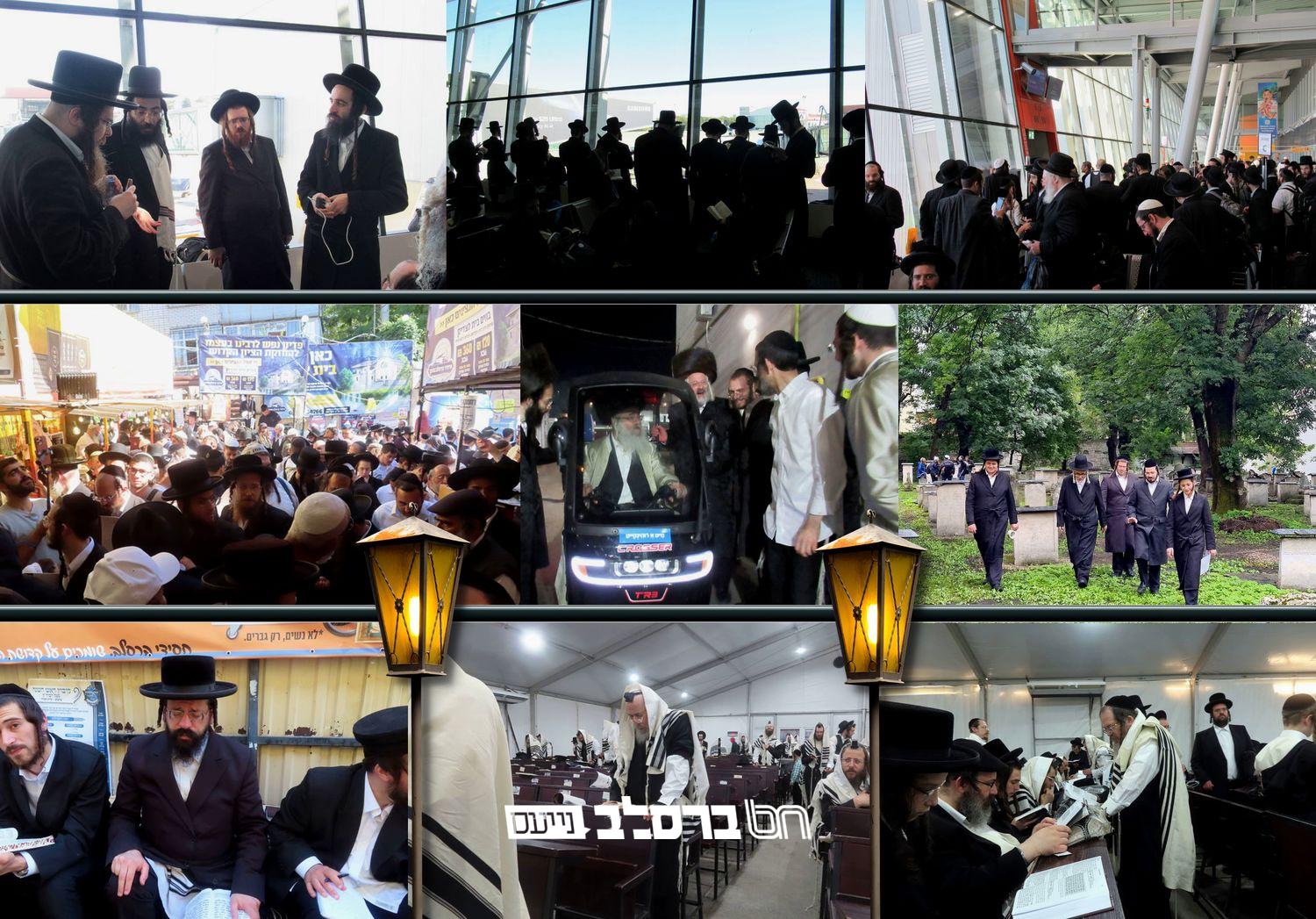 קיבוץ תשפ"ו • 'מתחדשים' מציג גלריה מגוונת | אומן בעין העדשה גלריה #11