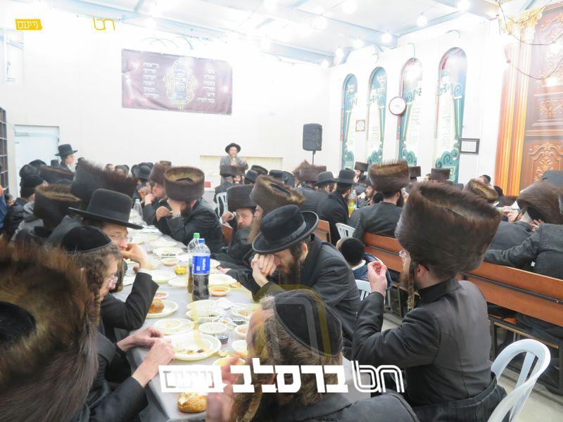 צפת • בבית הכנסת 'אור הצדיק' חגגו מעמד הכנסת ספר תורה