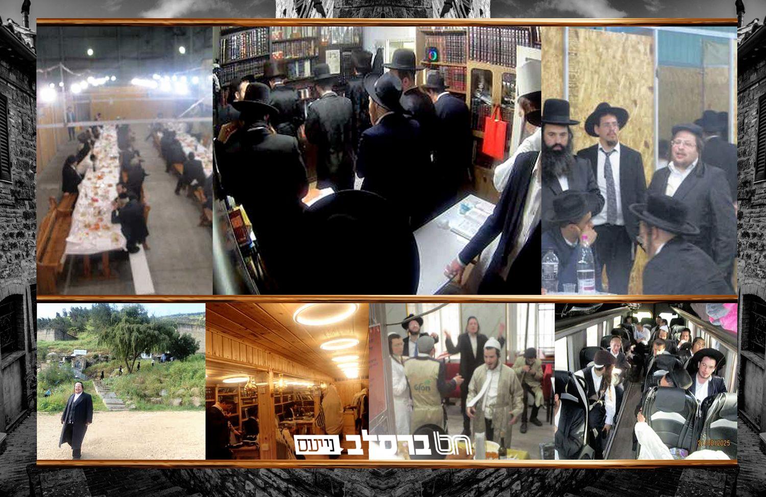 'נכספה' • גיליון סקירה מפעילות הארגון בשם 'נכספתי' #01 |↓