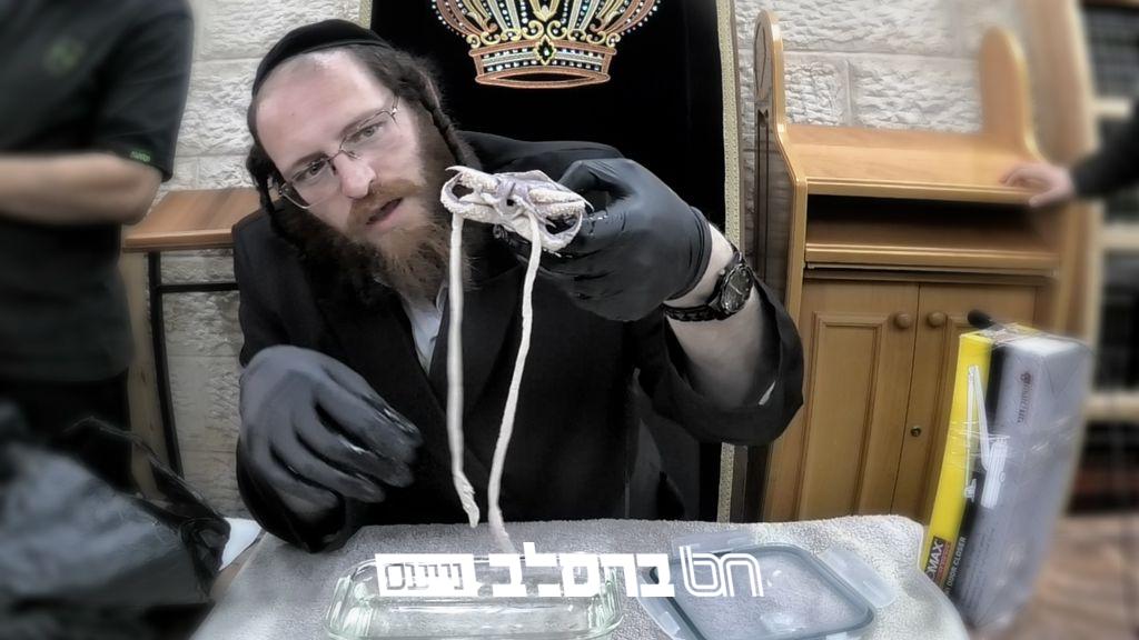 'נשמת ברסלב' • הרב שלום שטרן בשיעור "חי" המברר מהו התכלת המדובר בתורה #1 |◄