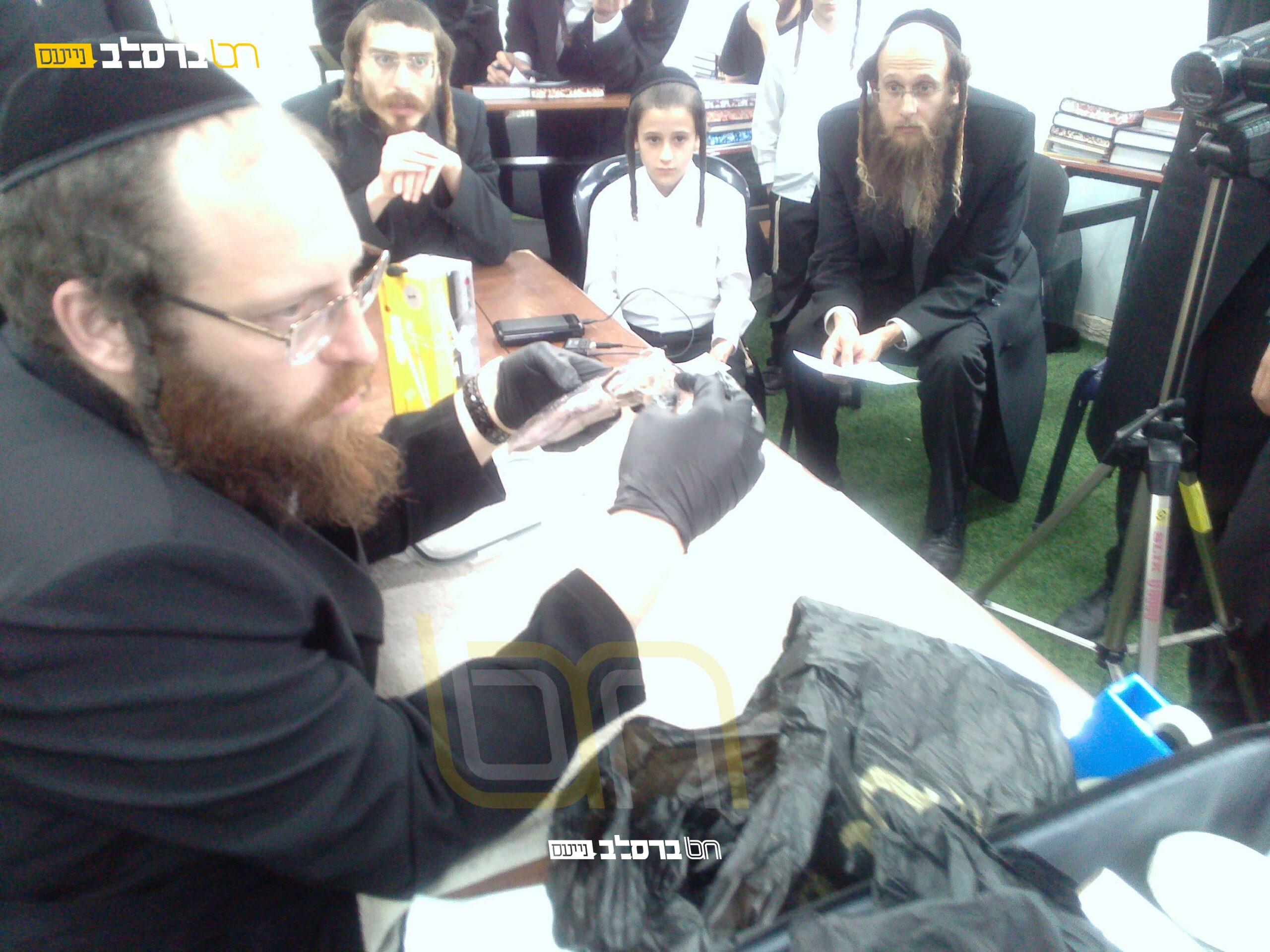 'נשמת ברסלב' • שיעור "חי" מרתק בסוגיית התכלת, החילזון ואופני הצביעה |◄