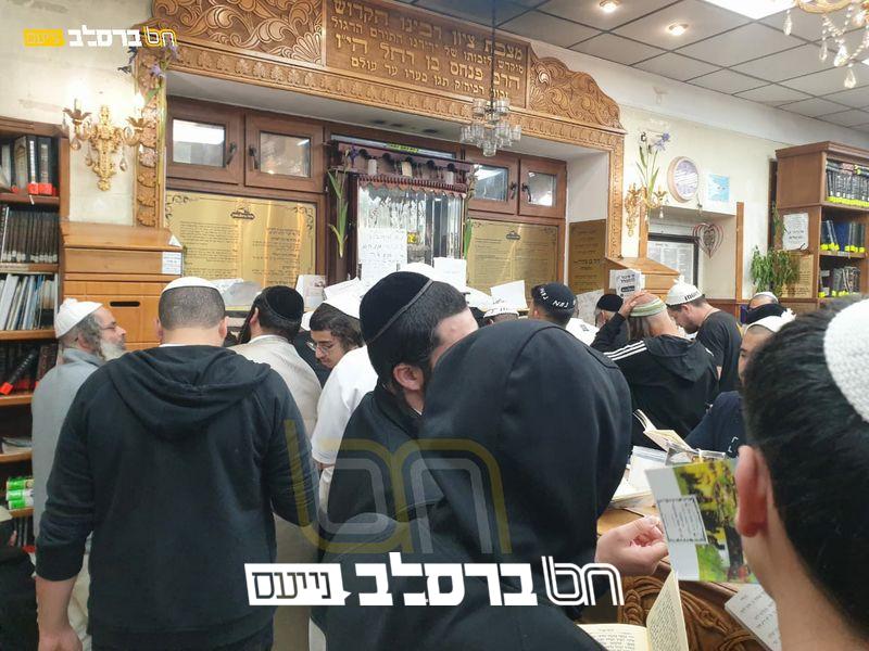 אומן • אלפים השתתפו בקיבוץ חג השבועות באומן | גלריה #02