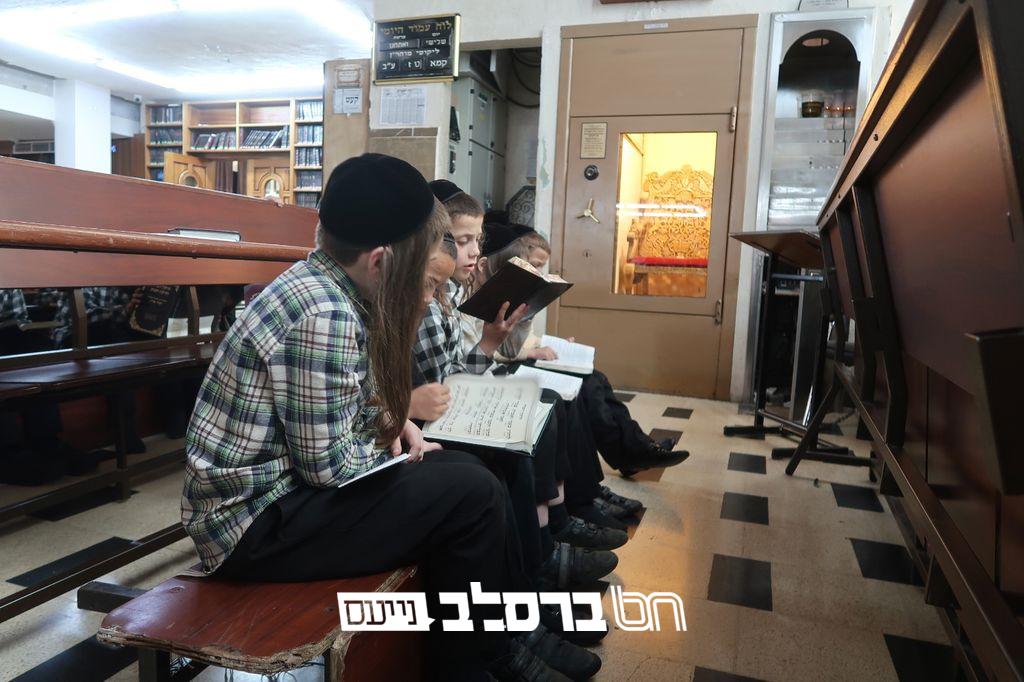 ירושלים • ילדי תלמוד תורה ברסלב בתיקון חצות בבין המצרים |◄