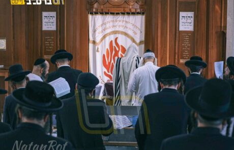 'כָּל הַגּוֹלָה': עצרת התפילה על ציון רבינו באומן | צפו